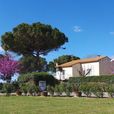 A L'Oree Des Vignes Montady Dış mekan fotoğraf