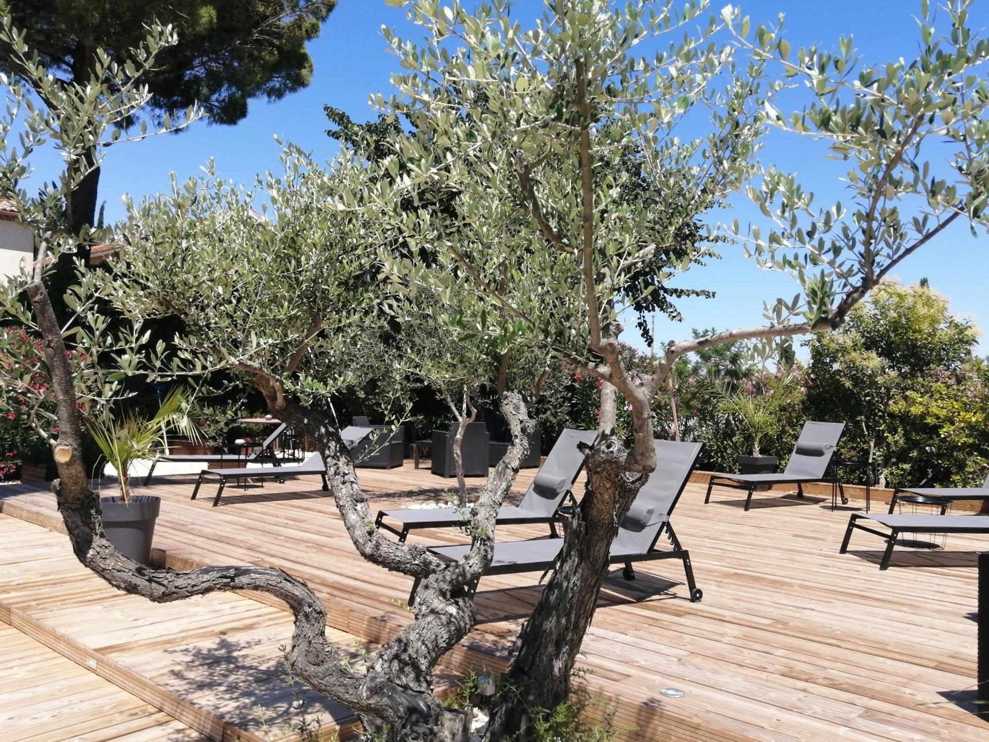 A L'Oree Des Vignes Montady Dış mekan fotoğraf