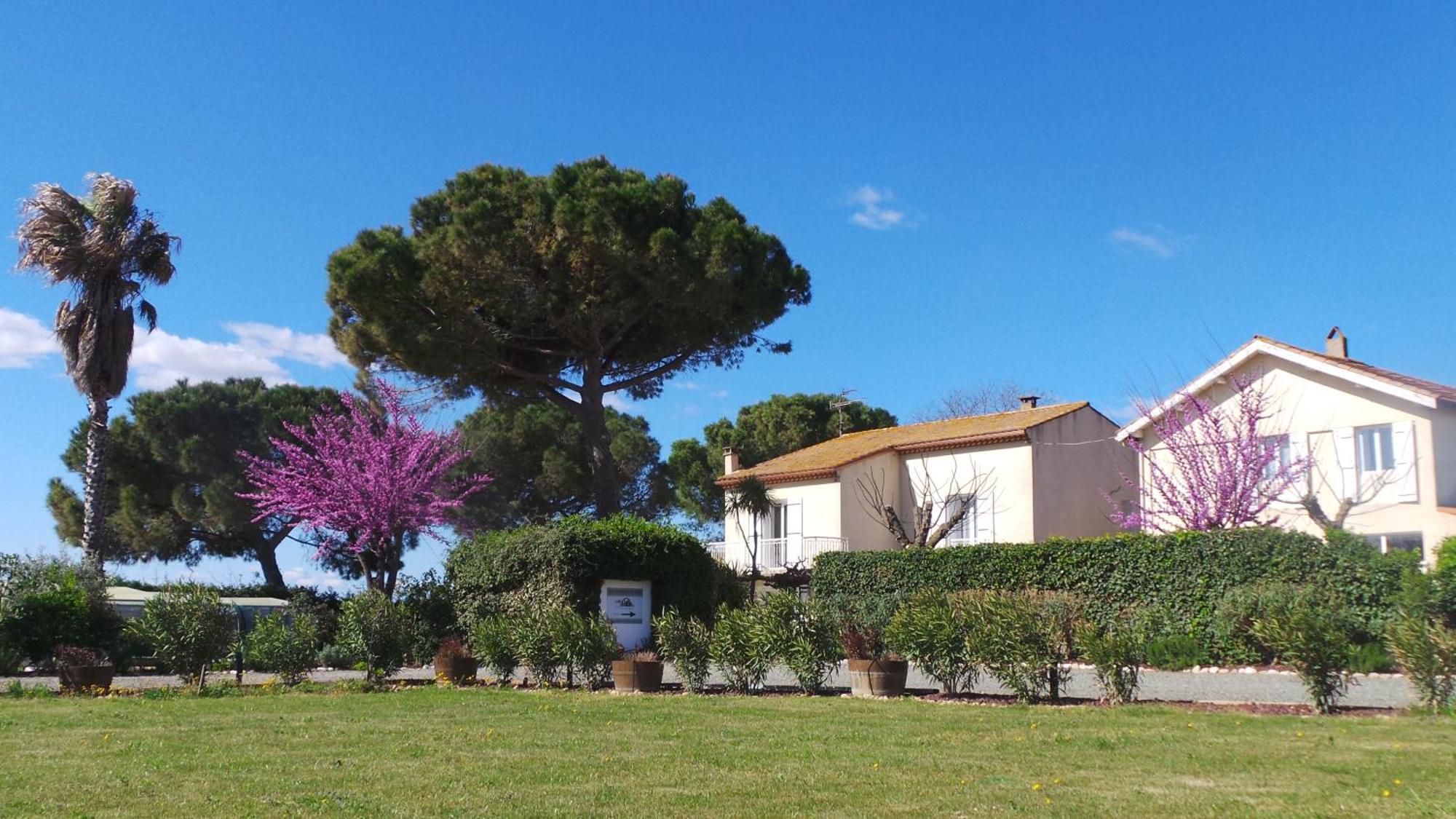 A L'Oree Des Vignes Montady Dış mekan fotoğraf