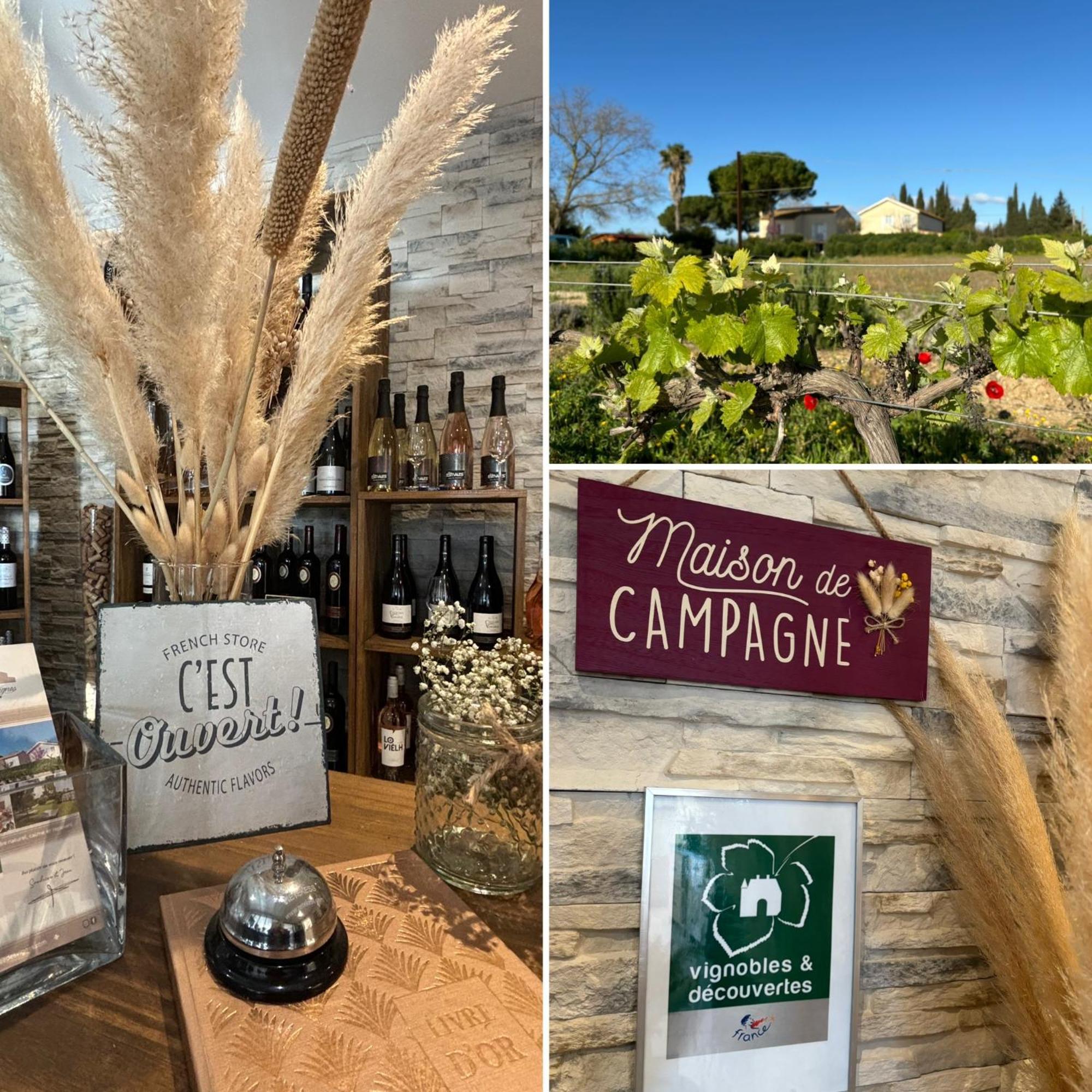 A L'Oree Des Vignes Montady Dış mekan fotoğraf