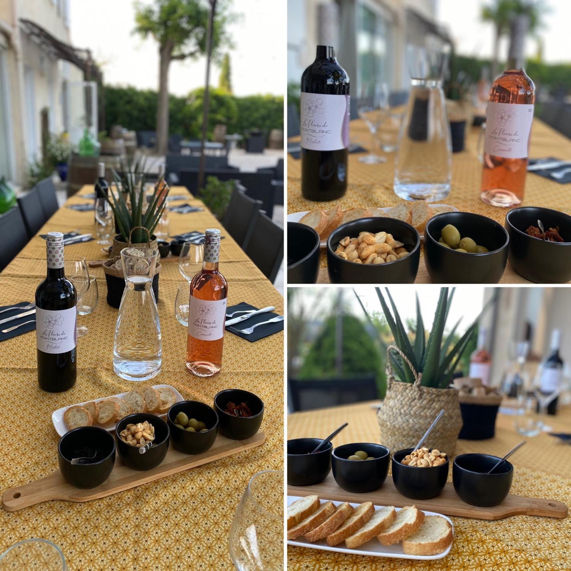 A L'Oree Des Vignes Montady Dış mekan fotoğraf